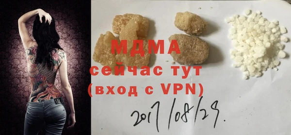 прущие грибы Михайлов