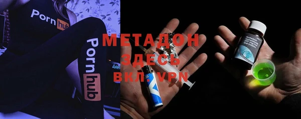 прущие грибы Михайлов