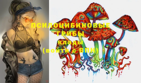 прущие грибы Михайлов