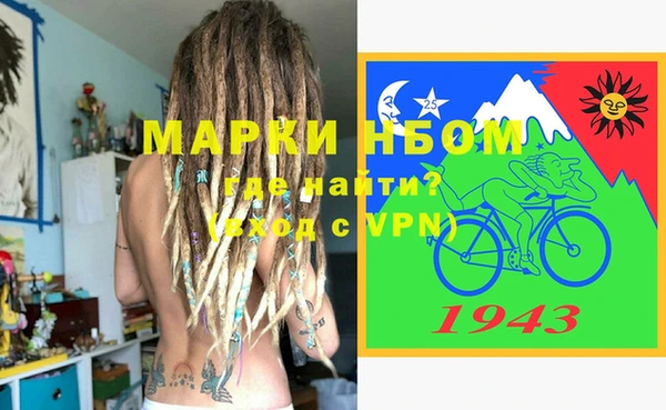 прущие грибы Михайлов